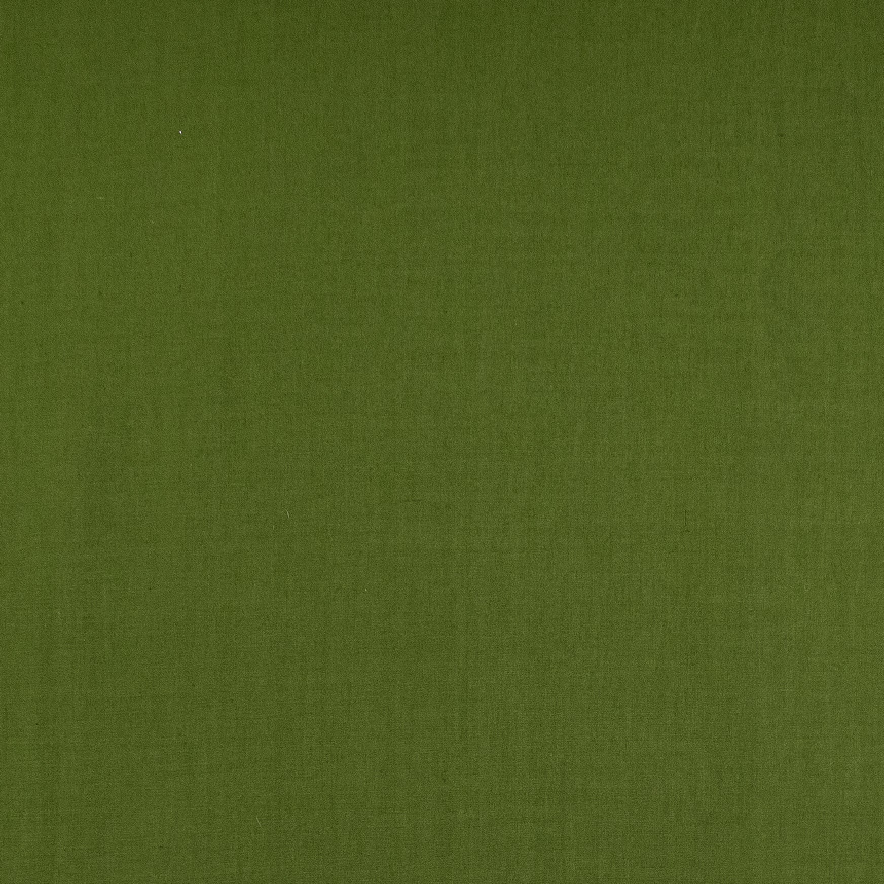 Solid Poly Cotton Fabric | Islands Fabric - Image 12