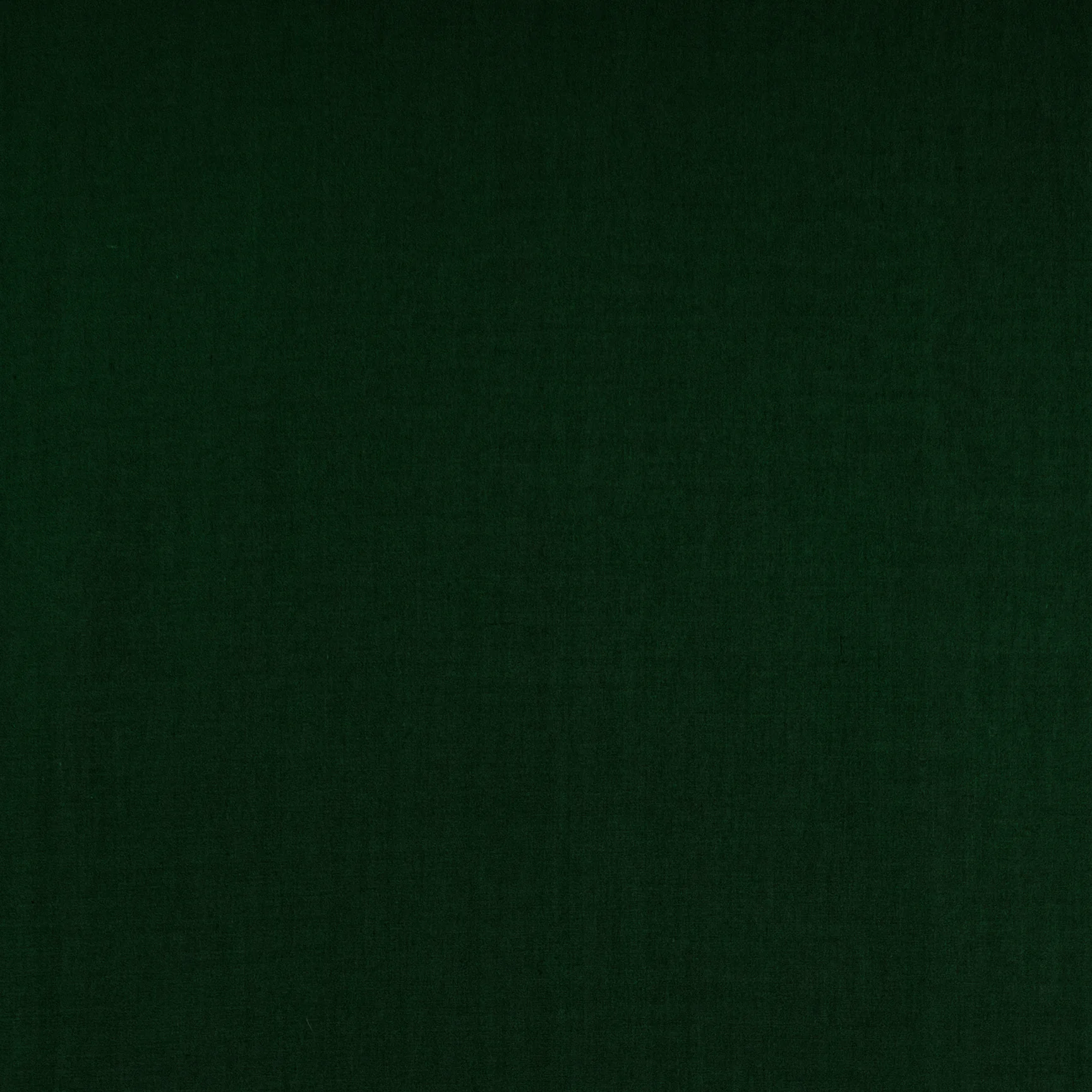 Solid Poly Cotton Fabric | Islands Fabric - Image 22